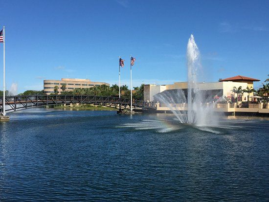 The Palms at Town & Country